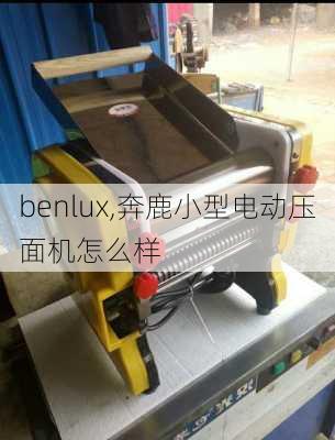 benlux,奔鹿小型电动压面机怎么样-第3张图片-九五旅游网