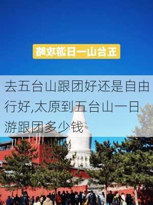 去五台山跟团好还是自由行好,太原到五台山一日游跟团多少钱-第1张图片-九五旅游网