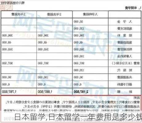 日本留学,日本留学一年费用是多少钱-第1张图片-九五旅游网