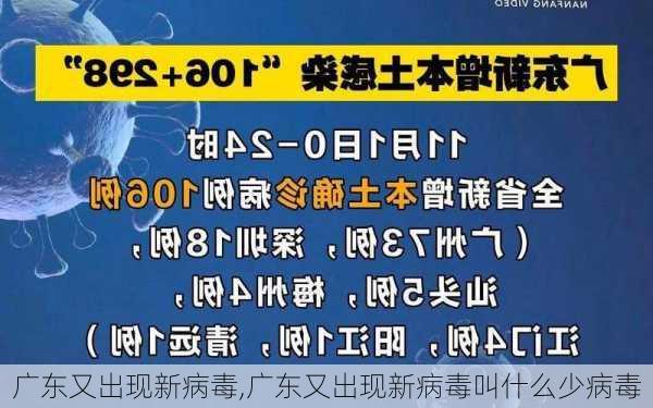 广东又出现新病毒,广东又出现新病毒叫什么少病毒-第2张图片-九五旅游网