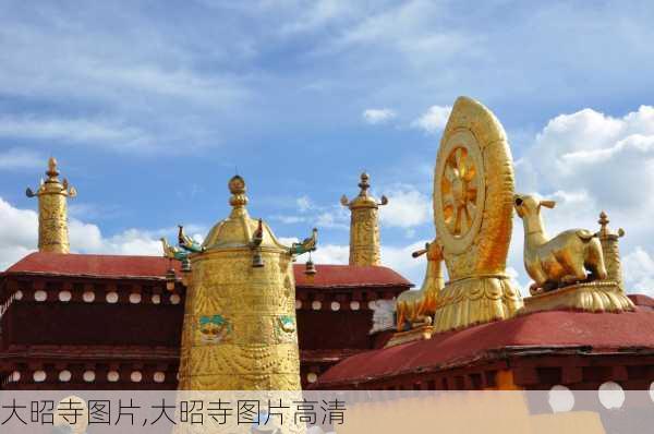 大昭寺图片,大昭寺图片高清-第1张图片-九五旅游网