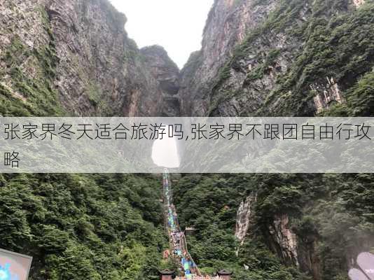 张家界冬天适合旅游吗,张家界不跟团自由行攻略