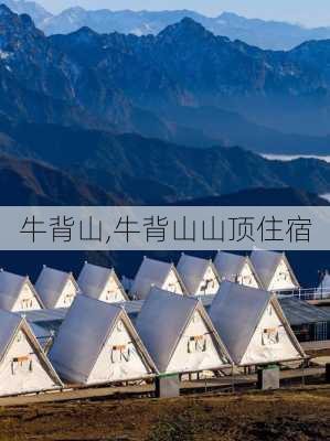 牛背山,牛背山山顶住宿-第1张图片-九五旅游网