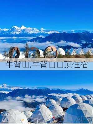 牛背山,牛背山山顶住宿-第2张图片-九五旅游网