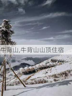 牛背山,牛背山山顶住宿-第3张图片-九五旅游网