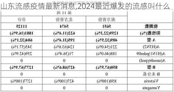 山东流感疫情最新消息,2024最近爆发的流感叫什么-第2张图片-九五旅游网