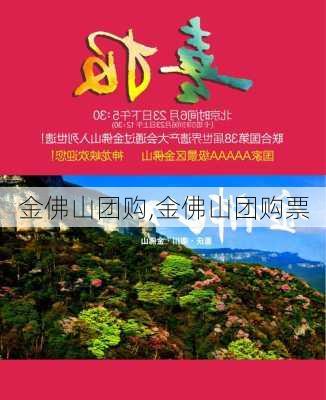 金佛山团购,金佛山团购票-第2张图片-九五旅游网