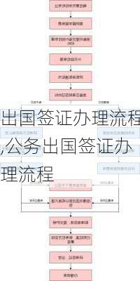 出国签证办理流程,公务出国签证办理流程-第3张图片-九五旅游网