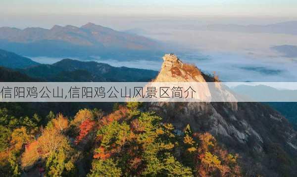 信阳鸡公山,信阳鸡公山风景区简介-第1张图片-九五旅游网