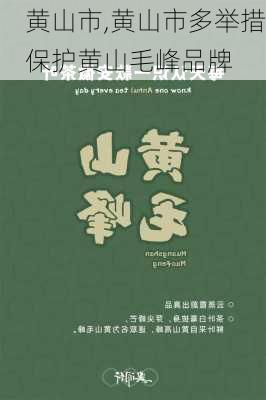 黄山市,黄山市多举措保护黄山毛峰品牌