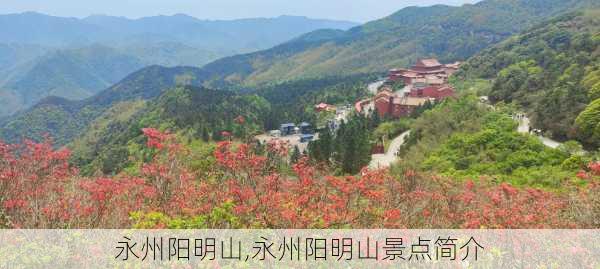 永州阳明山,永州阳明山景点简介-第3张图片-九五旅游网