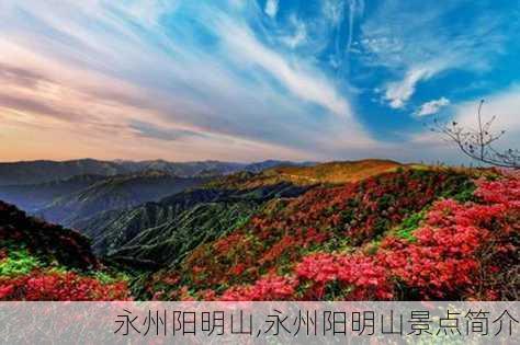 永州阳明山,永州阳明山景点简介-第2张图片-九五旅游网