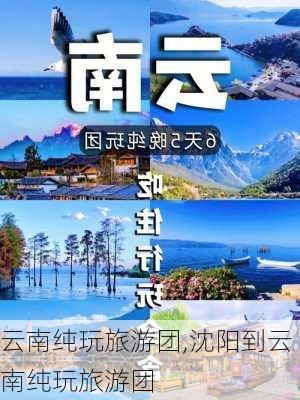 云南纯玩旅游团,沈阳到云南纯玩旅游团-第2张图片-九五旅游网