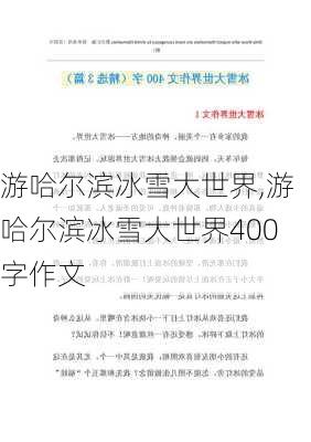 游哈尔滨冰雪大世界,游哈尔滨冰雪大世界400字作文-第2张图片-九五旅游网