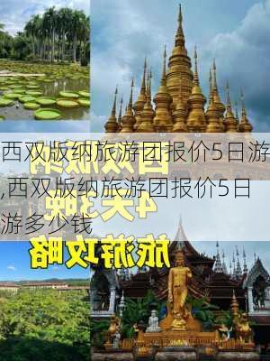 西双版纳旅游团报价5日游,西双版纳旅游团报价5日游多少钱-第1张图片-九五旅游网