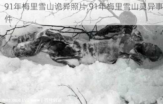 91年梅里雪山诡异照片,91年梅里雪山灵异事件