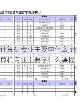 计算机专业主要学什么,计算机专业主要学什么课程-第1张图片-九五旅游网