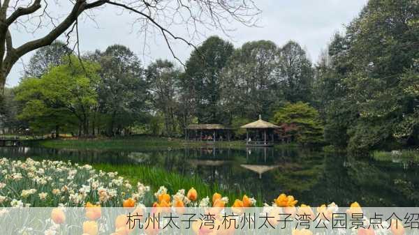 杭州太子湾,杭州太子湾公园景点介绍-第3张图片-九五旅游网