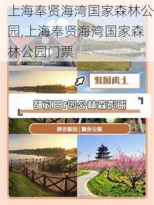 上海奉贤海湾国家森林公园,上海奉贤海湾国家森林公园门票-第1张图片-九五旅游网