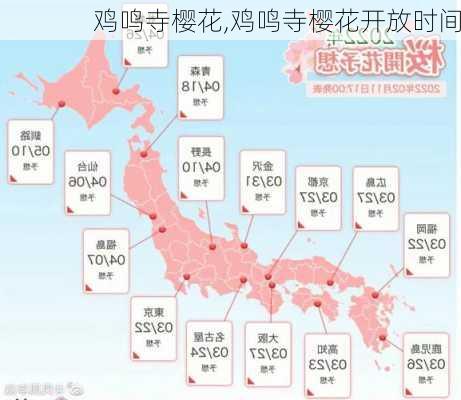 鸡鸣寺樱花,鸡鸣寺樱花开放时间-第2张图片-九五旅游网