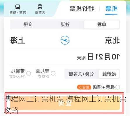 携程网上订票机票,携程网上订票机票攻略-第1张图片-九五旅游网