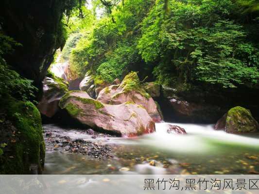 黑竹沟,黑竹沟风景区-第1张图片-九五旅游网