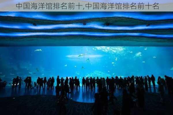 中国海洋馆排名前十,中国海洋馆排名前十名-第2张图片-九五旅游网