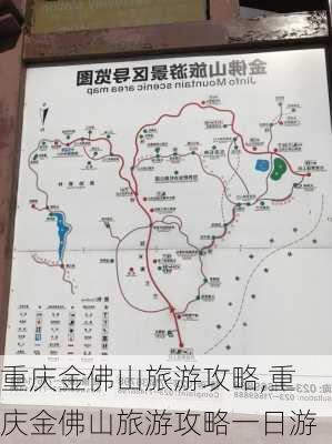 重庆金佛山旅游攻略,重庆金佛山旅游攻略一日游-第3张图片-九五旅游网