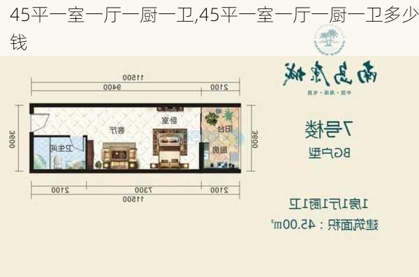 45平一室一厅一厨一卫,45平一室一厅一厨一卫多少钱