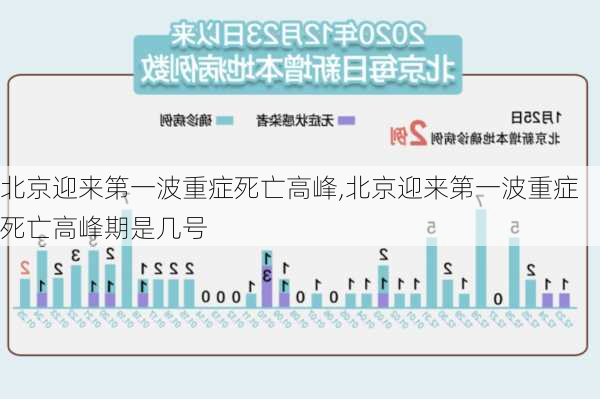 北京迎来第一波重症死亡高峰,北京迎来第一波重症死亡高峰期是几号-第3张图片-九五旅游网