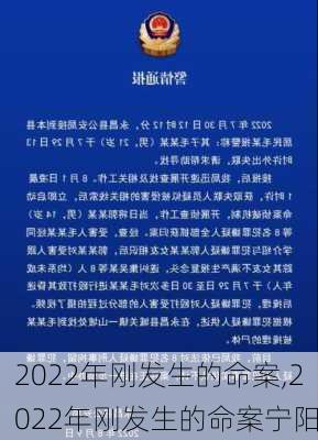 2022年刚发生的命案,2022年刚发生的命案宁阳