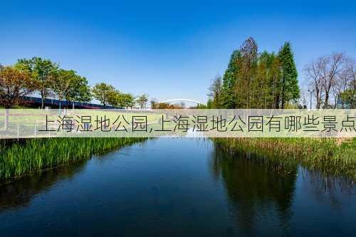 上海湿地公园,上海湿地公园有哪些景点-第2张图片-九五旅游网