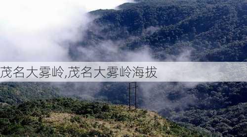 茂名大雾岭,茂名大雾岭海拔-第3张图片-九五旅游网