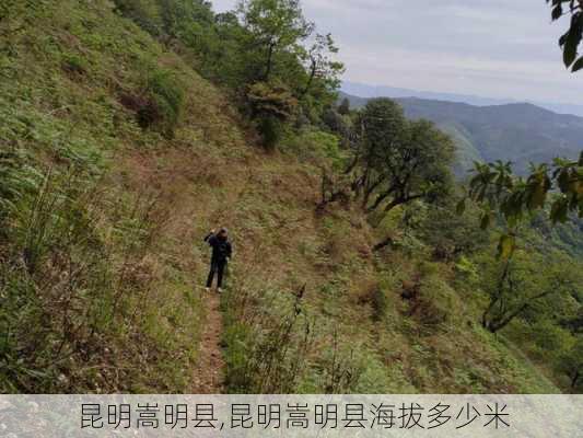 昆明嵩明县,昆明嵩明县海拔多少米-第1张图片-九五旅游网