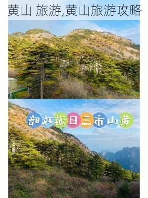 黄山 旅游,黄山旅游攻略-第3张图片-九五旅游网