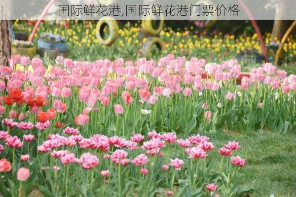 国际鲜花港,国际鲜花港门票价格