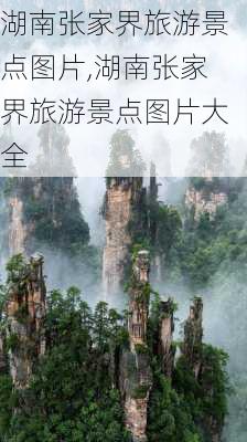 湖南张家界旅游景点图片,湖南张家界旅游景点图片大全-第1张图片-九五旅游网