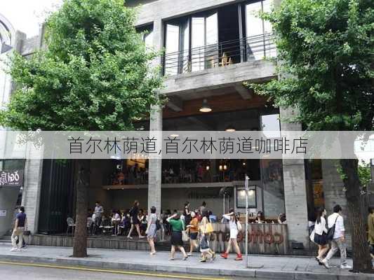 首尔林荫道,首尔林荫道咖啡店-第3张图片-九五旅游网