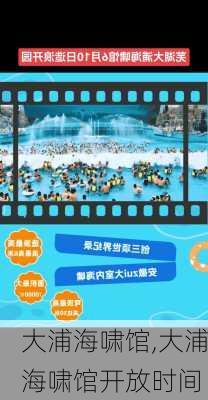 大浦海啸馆,大浦海啸馆开放时间-第1张图片-九五旅游网