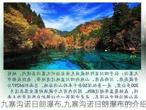 九寨沟诺日朗瀑布,九寨沟诺日朗瀑布的介绍-第1张图片-九五旅游网