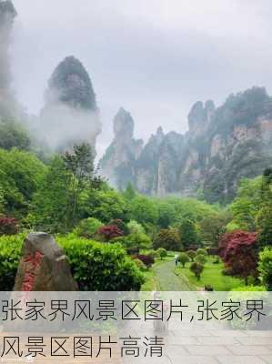 张家界风景区图片,张家界风景区图片高清-第2张图片-九五旅游网