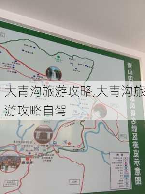 大青沟旅游攻略,大青沟旅游攻略自驾-第2张图片-九五旅游网