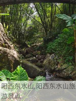 阳西东水山,阳西东水山旅游景点-第1张图片-九五旅游网