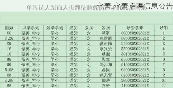 永善,永善招聘信息公告-第3张图片-九五旅游网