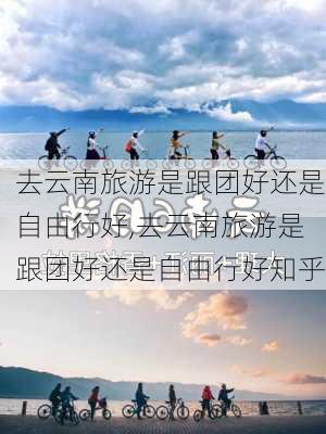 去云南旅游是跟团好还是自由行好,去云南旅游是跟团好还是自由行好知乎-第3张图片-九五旅游网