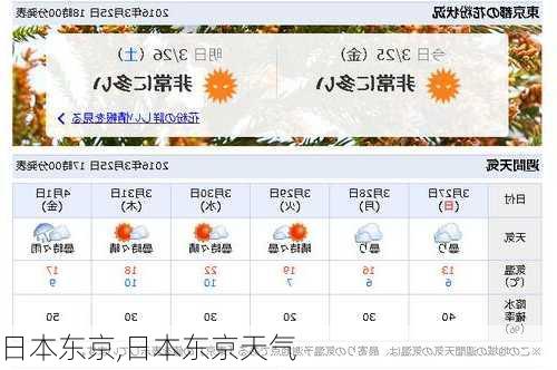 日本东京,日本东京天气-第3张图片-九五旅游网