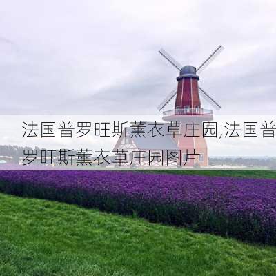 法国普罗旺斯薰衣草庄园,法国普罗旺斯薰衣草庄园图片