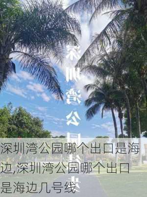 深圳湾公园哪个出口是海边,深圳湾公园哪个出口是海边几号线-第1张图片-九五旅游网