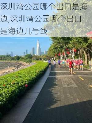 深圳湾公园哪个出口是海边,深圳湾公园哪个出口是海边几号线-第2张图片-九五旅游网