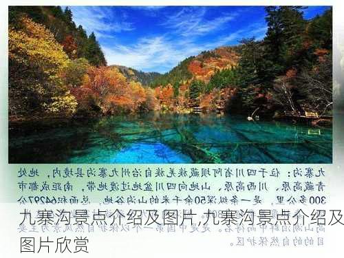 九寨沟景点介绍及图片,九寨沟景点介绍及图片欣赏-第3张图片-九五旅游网